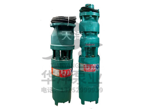 QSP喷泉专用泵