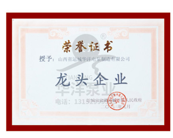 龙头企业